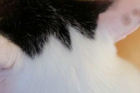 【正解発表!】この子はだぁれ?<その3> 【正解発表!】この子はだぁれ?<その3>