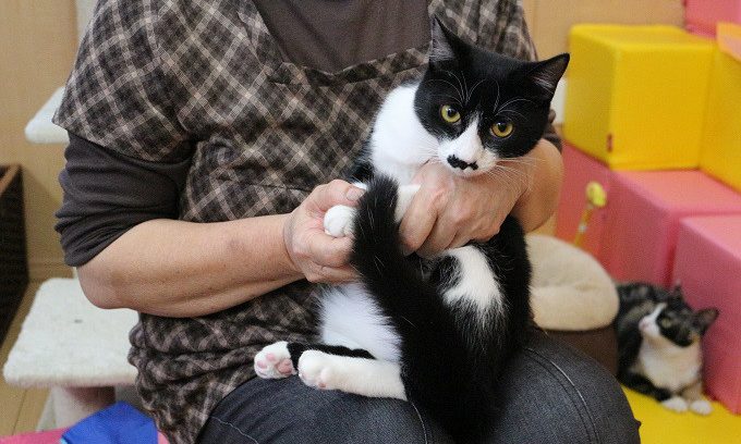 11月26日(日) うしくん
