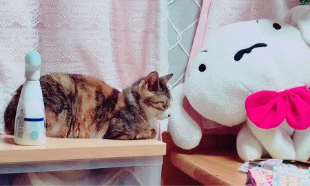 11月25日(土) さっちゃん
