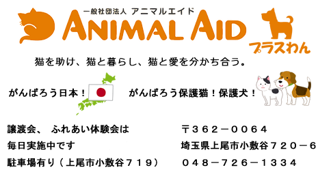 ANIMAL AID