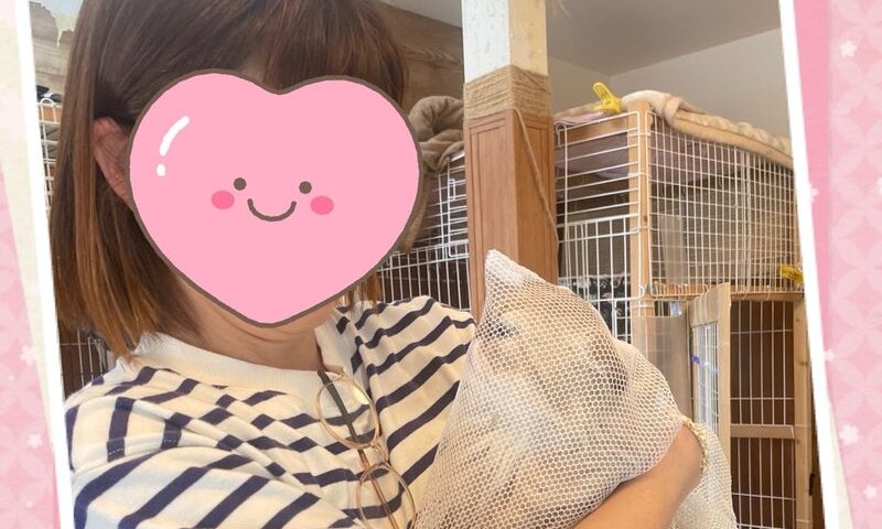 4月23日(水) ルーマニアちゃん