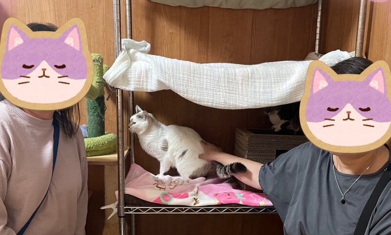 5月26日(月)シローくん