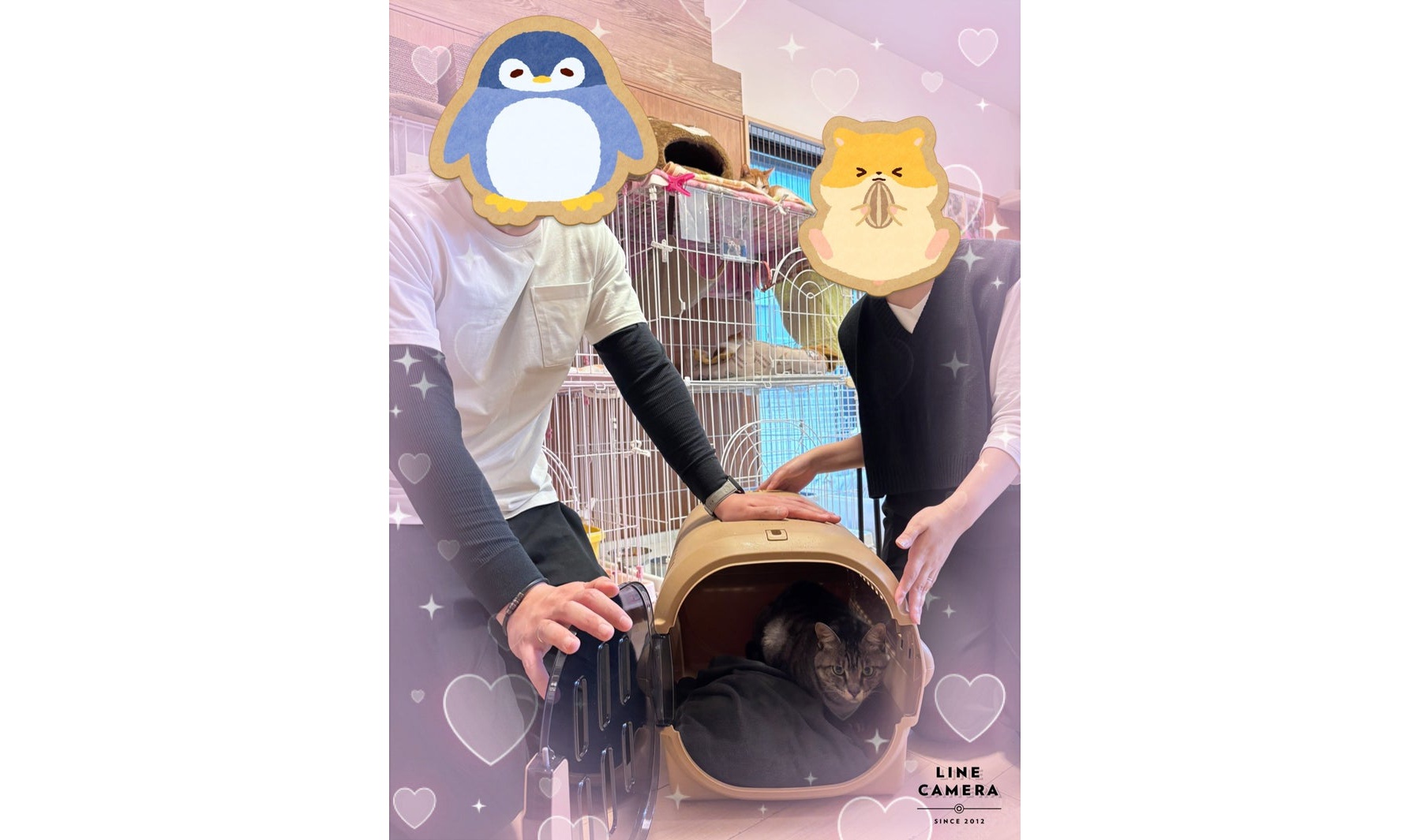5月31日(土) 歌麿ちゃん