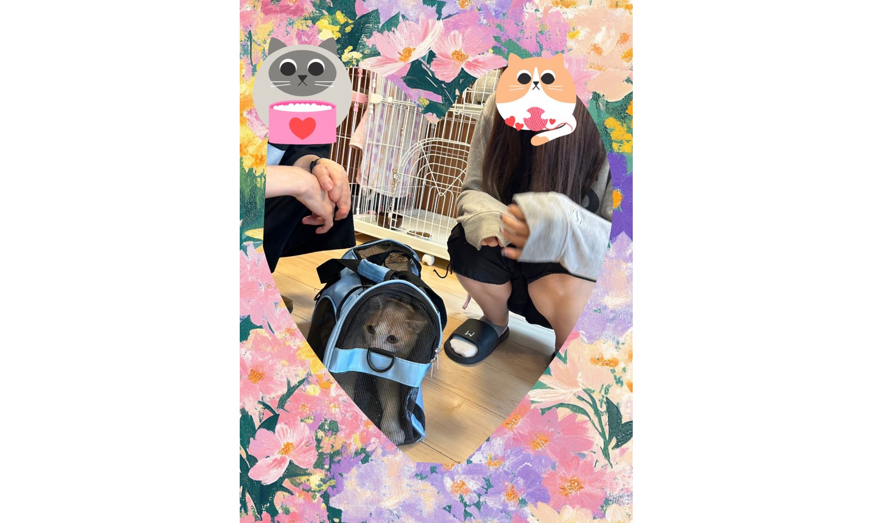 5月18日(日)ヤンマくん