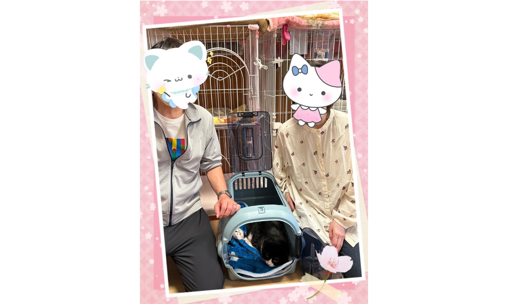 5月28日(水) クラウンちゃん