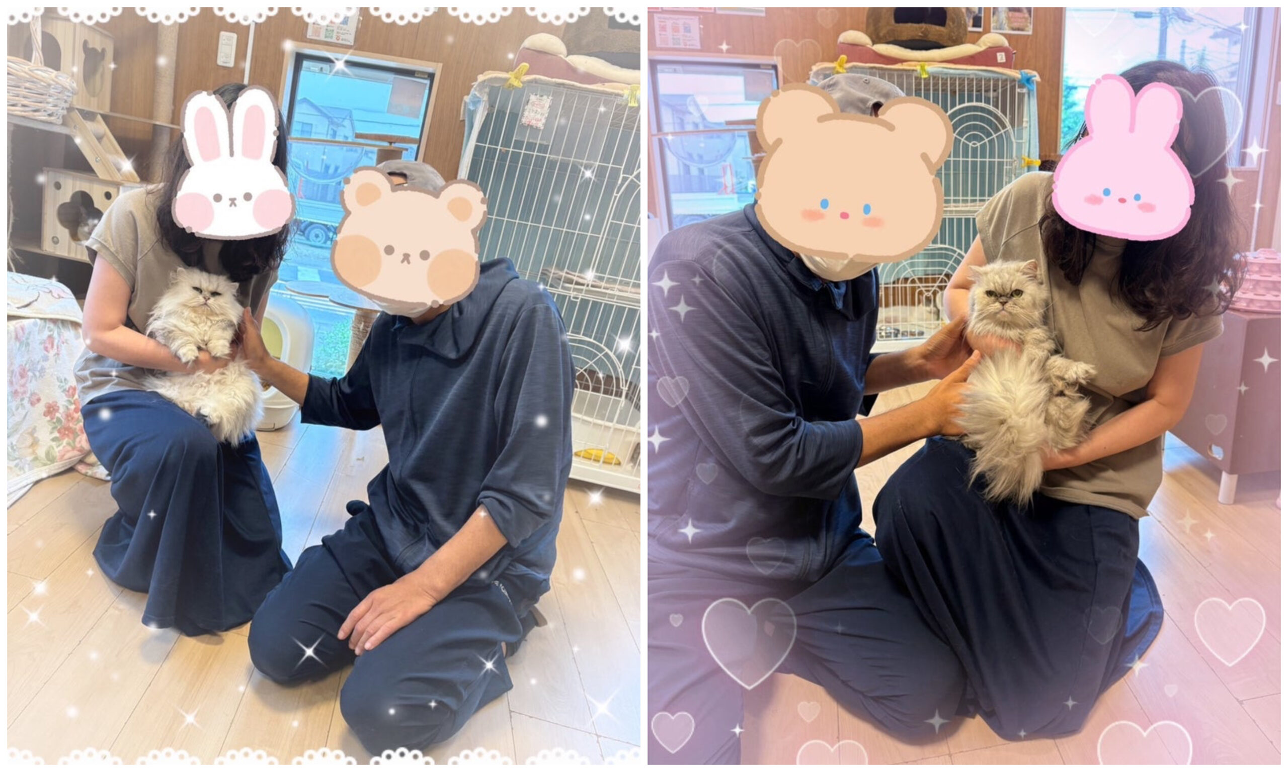 6月10日(火)オランダちゃん❣️ノルウェーちゃん