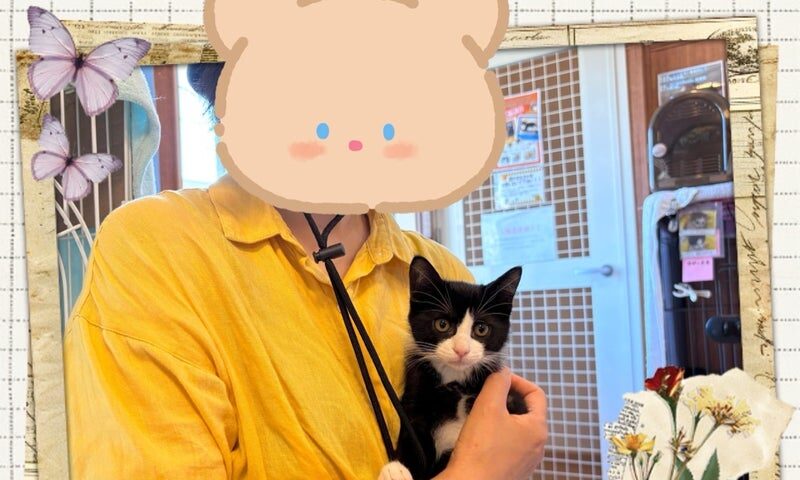 6月29日(日) うららかちゃん