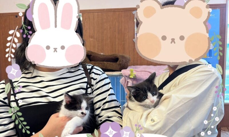 6月16日(月) ちいかわくん&ハチワレくん❣️