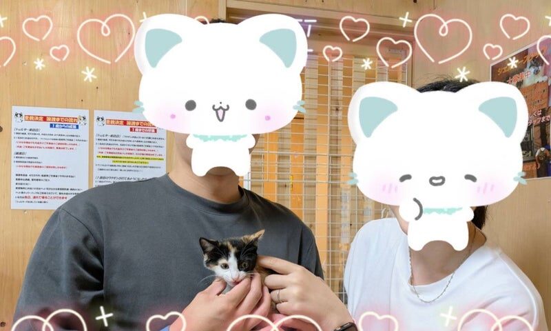 6月22日(日) プワワちゃん