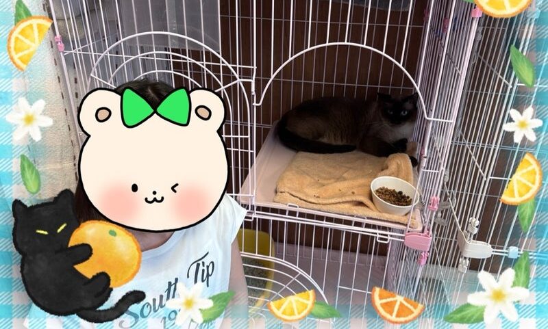 7月27日(日) サファくん