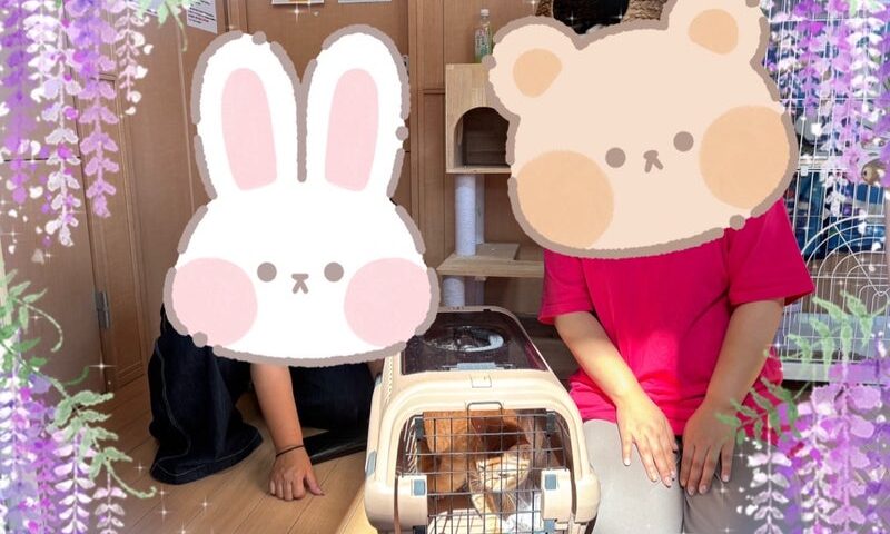 7月14日(月) まみちゃん
