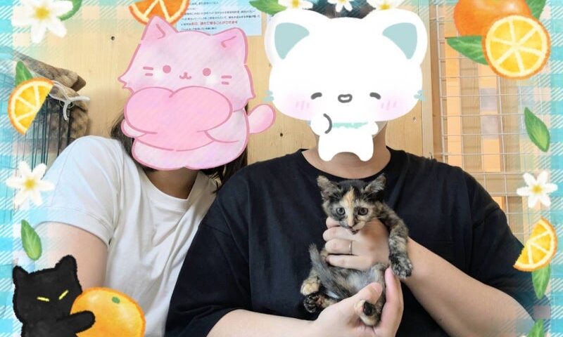 7月5日(土)鞠緒ちゃん