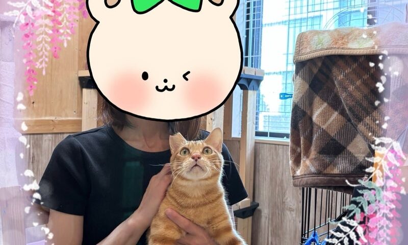 8月2日(土) トラくん