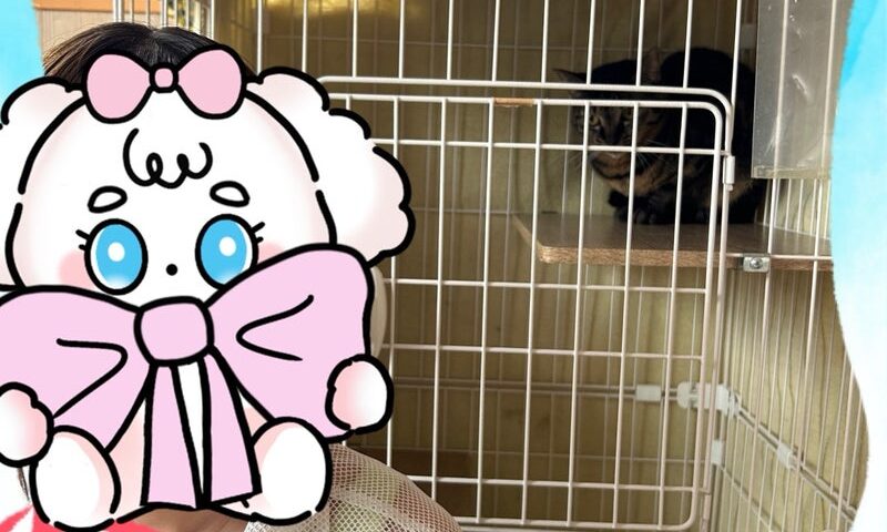 8月9日(土) つるちゃん