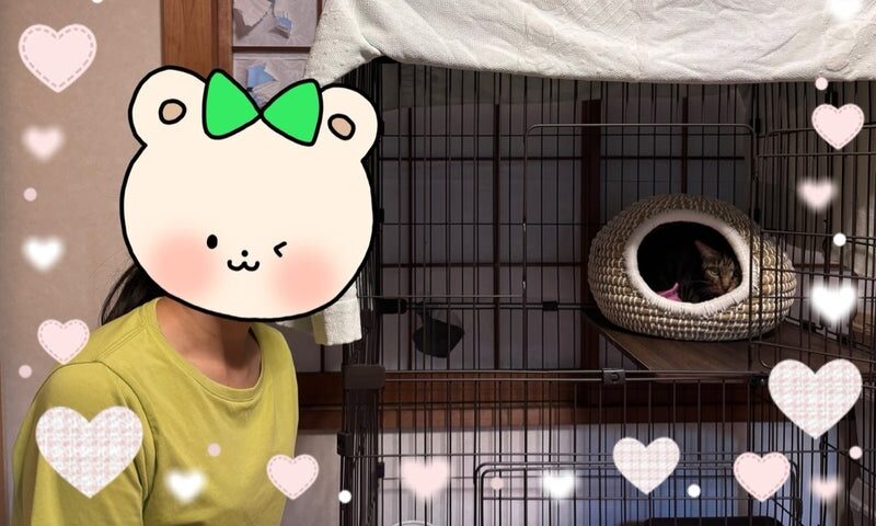 8月23日(土) ひなのちゃん