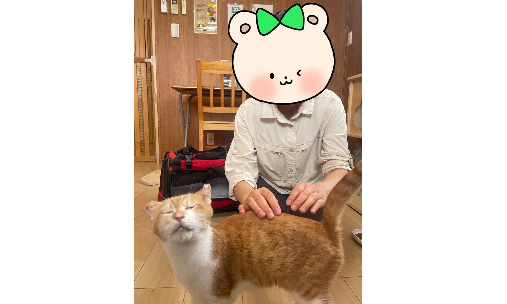 9月22日(月)チップちゃん