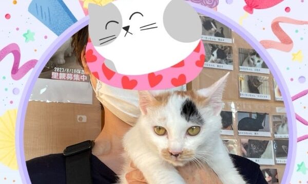 10月30日(木) もち子ちゃん