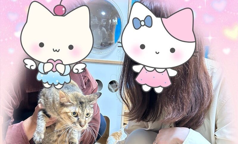 10月11日(土) こよみちゃん