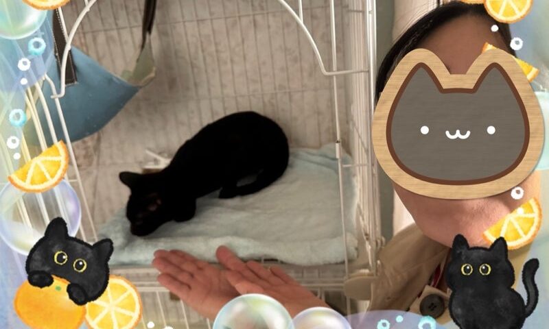 10月24日(金) ぼたんくん