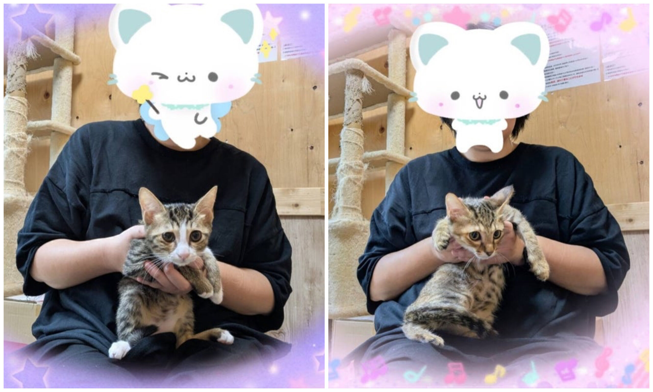 10月11日(土) フラッシュちゃん❣️ジュディちゃん❣️