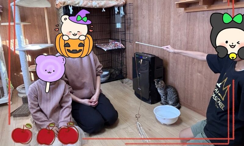 11月15日(土) 鯉太郎くん