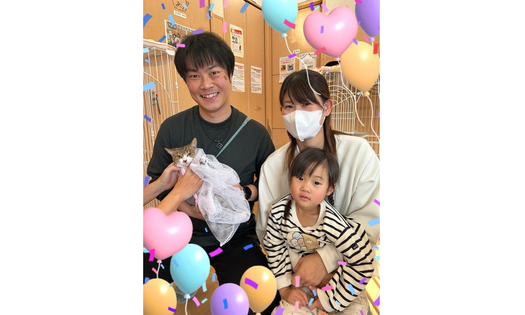 11月15日(土) こむぎちゃん