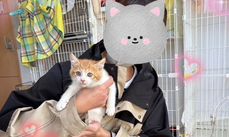 11月26日(水)リネンくん