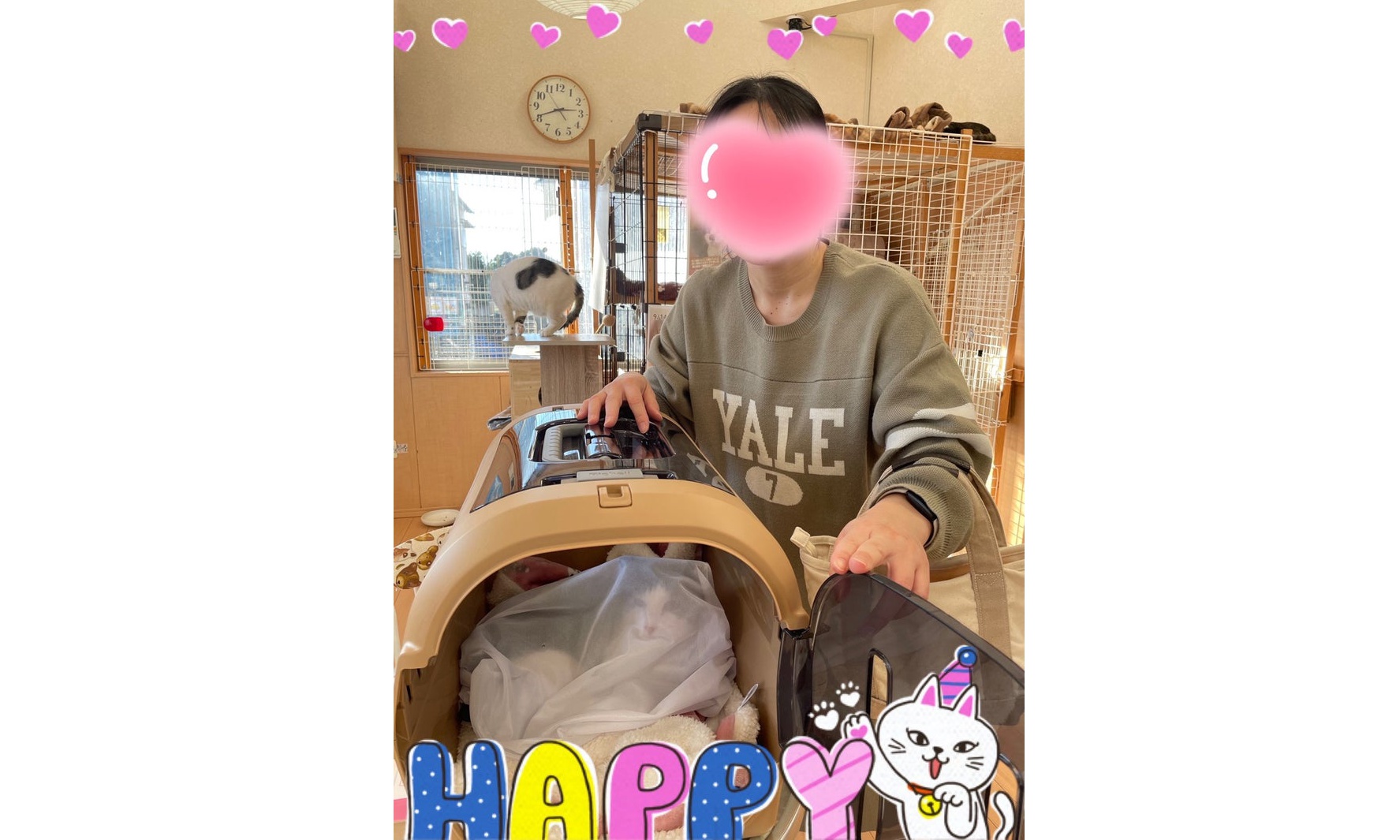 11月3日(月) 竹子ちゃん