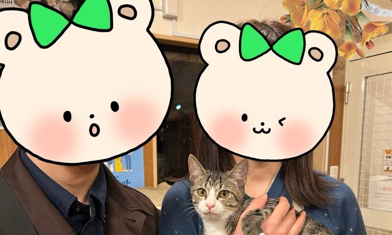 11月8日(土) コーラルくん