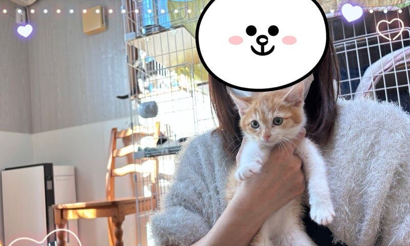 11月22日(土) ラミーくん