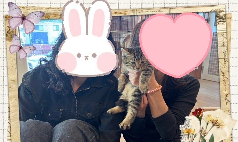 11月15日(土) アポロンくん