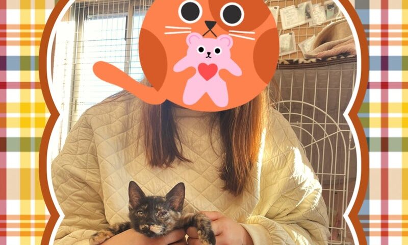 11月15日(土)ミュリルちゃん