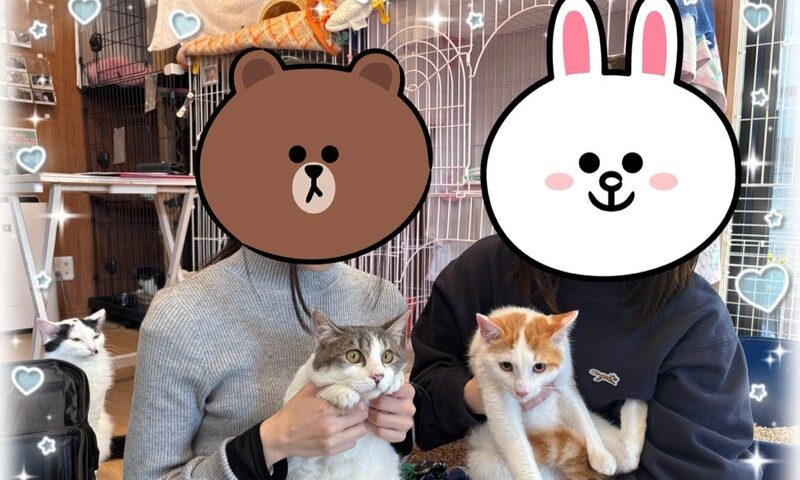 11月30日(日)哲也君❣️バンビ君