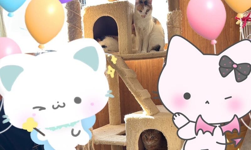 11月8日(土) マローネくん❣️ビアンコちゃん