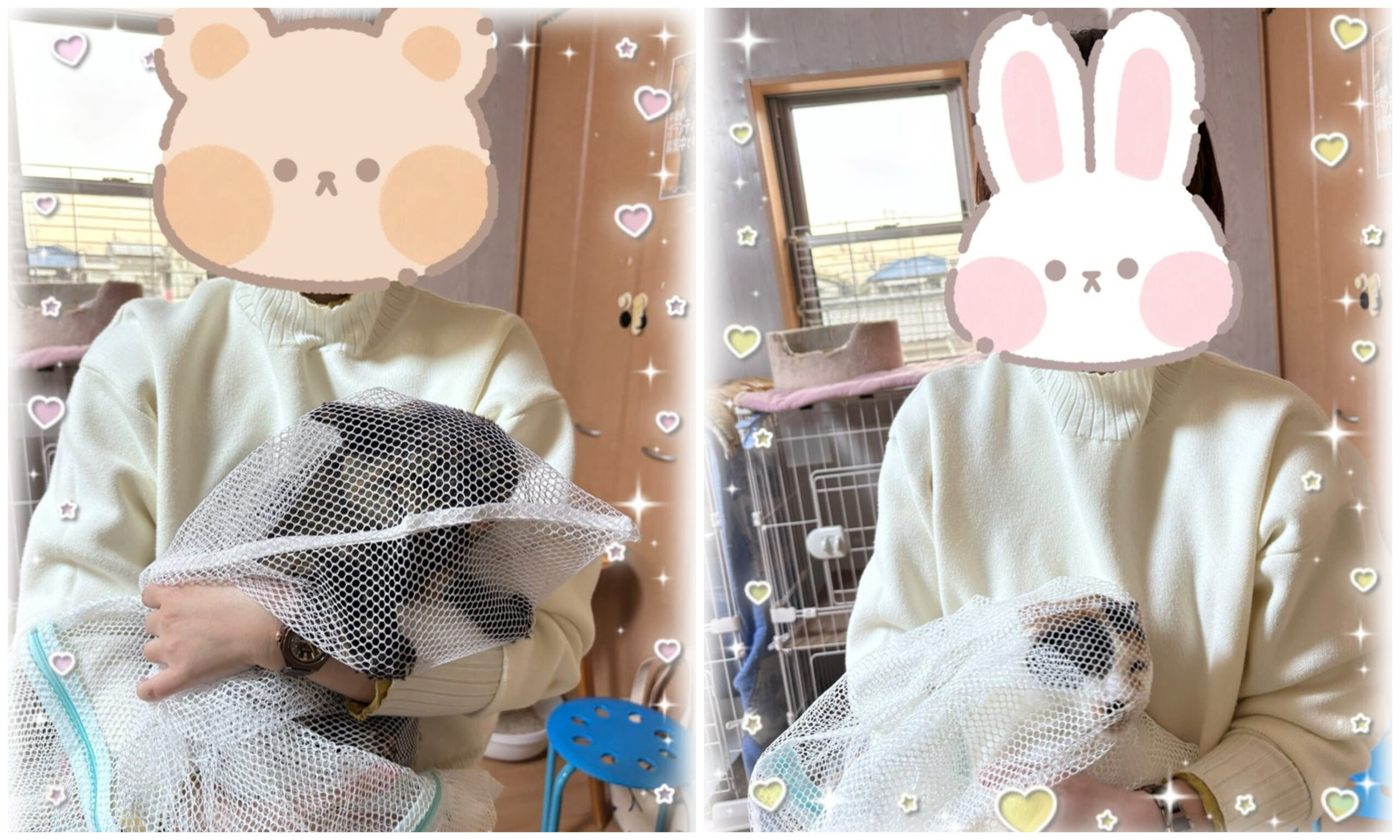 11月29日(土) すずらんちゃん＆なつみちゃん