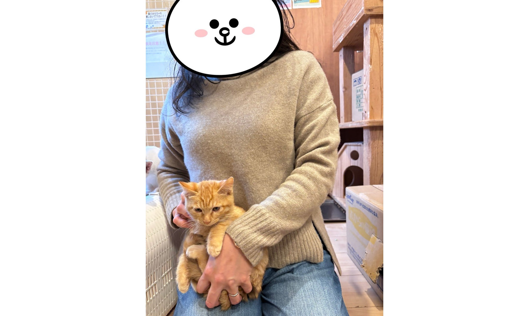 11月23日(日) アテナくん