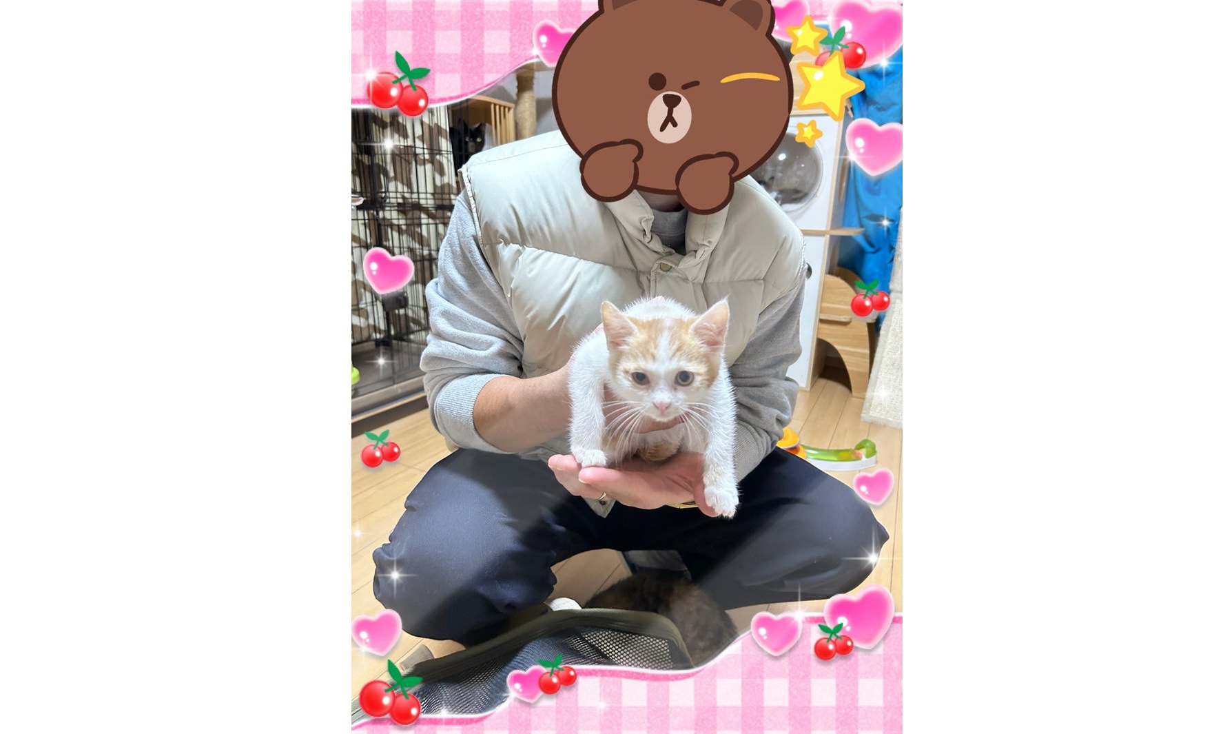 11月29日(土) シルクちゃん