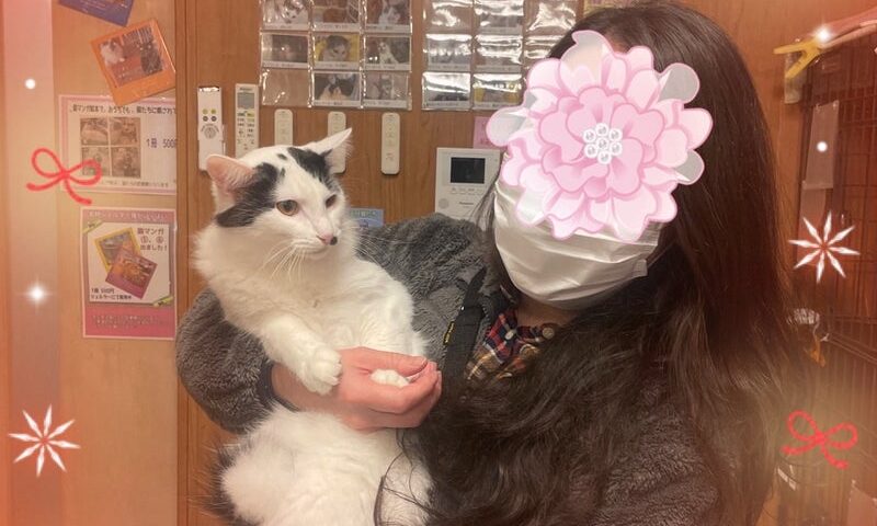 12月18日(木) ananくん