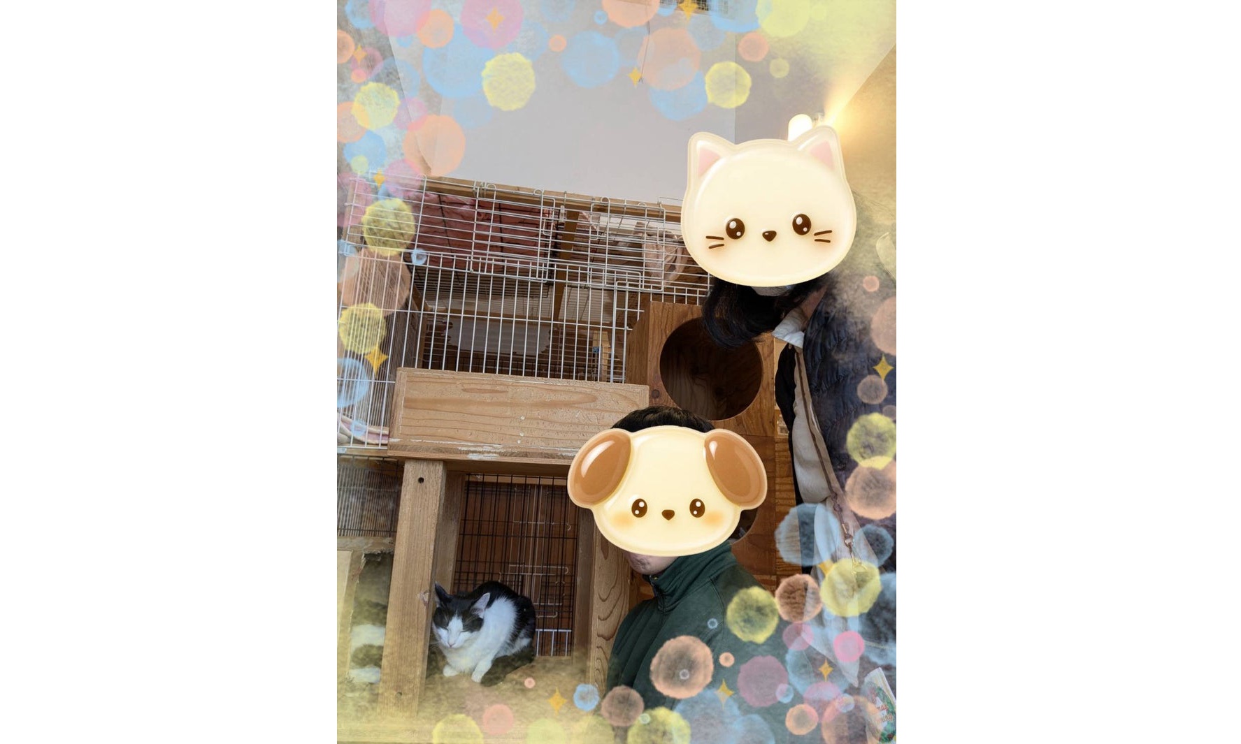 12月21日(日) エルモくん