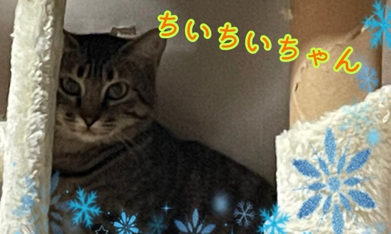 1月4日(日) ちいちいちゃん