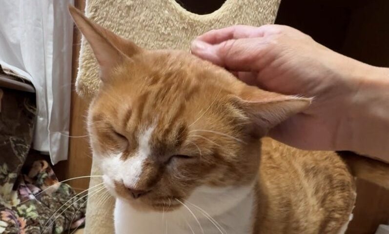 1月21日(水) 茶助くん