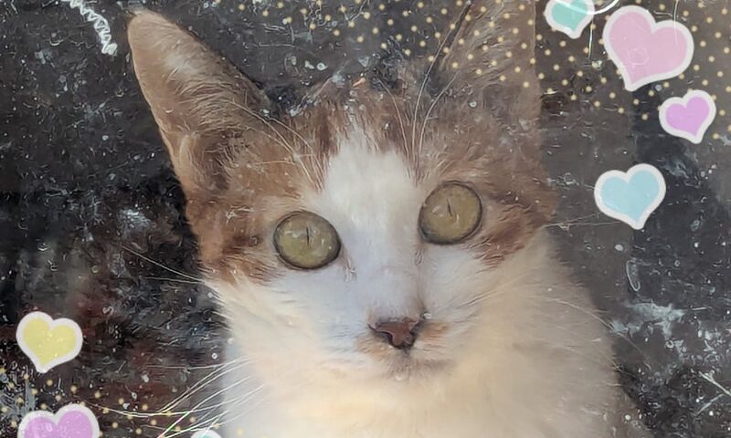 1月19日(月)アバンちゃん