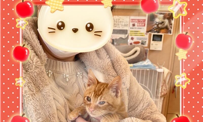 2月4日(水) ハーブくん