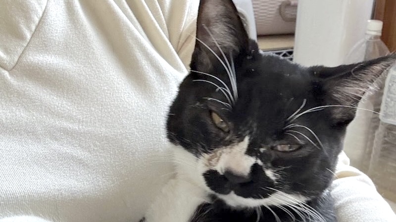 サンドくん　黒白♂