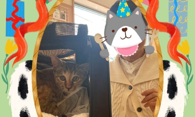 2月23日(月)のこのこちゃん❣️ガゼルちゃん