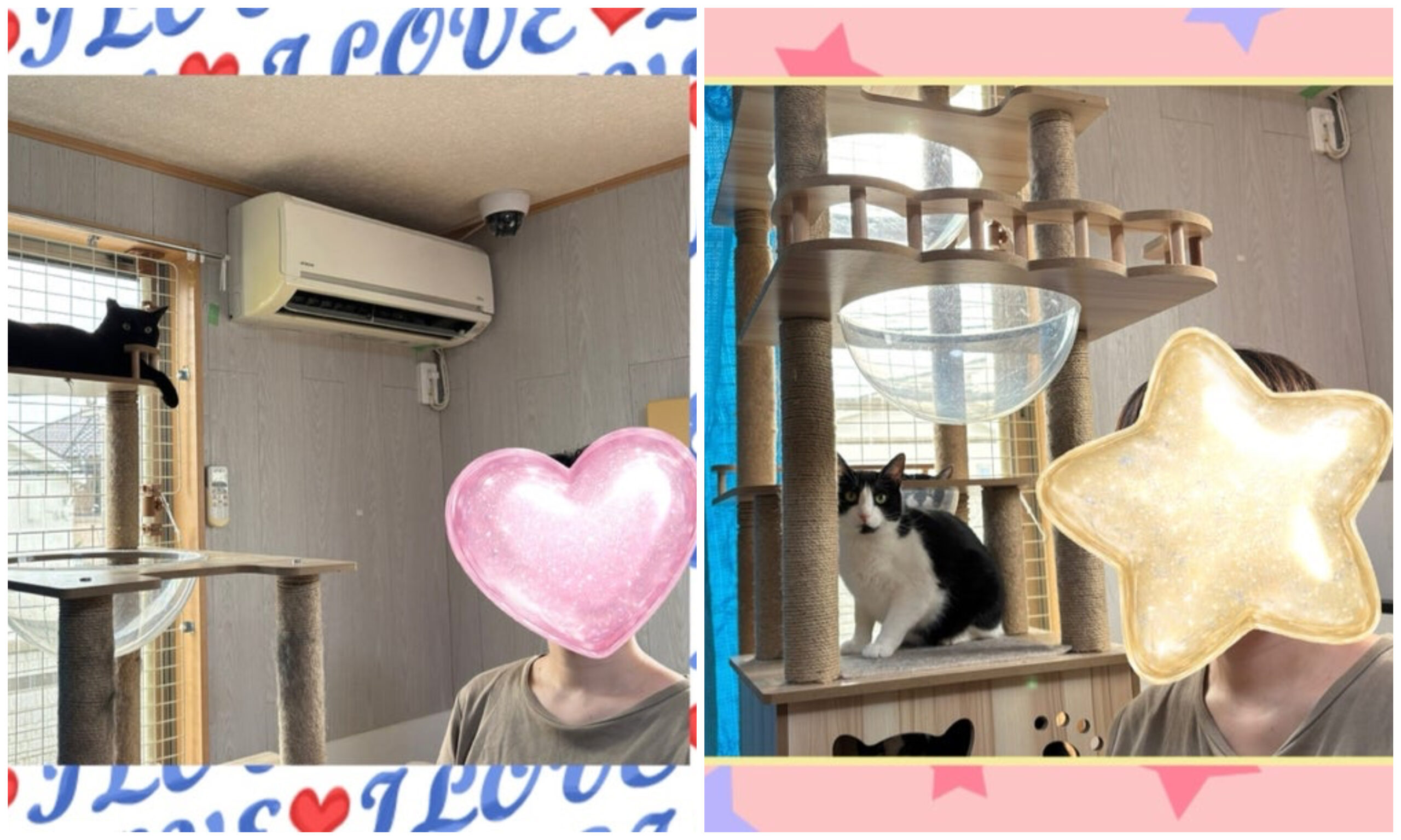 6月17日(水) クロスケくん❣️ていちゃん