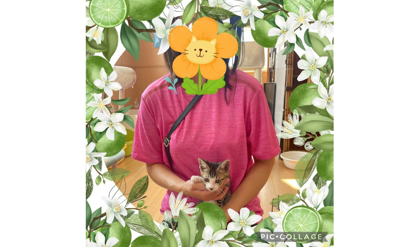 7月24日(金) すだちくん