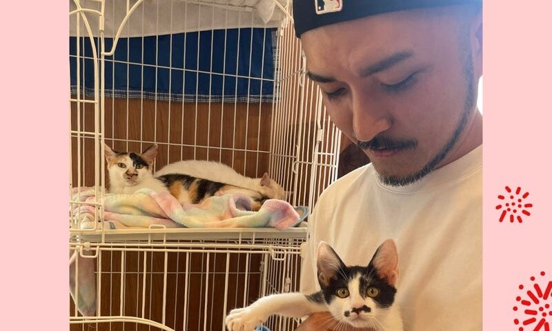 7月20日(月) リゲルちゃん❣️キャリコちゃん