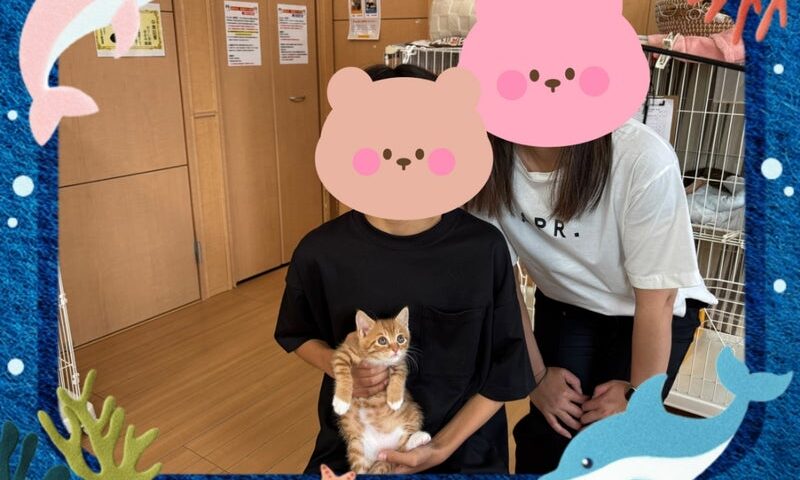 6月6日(土) コジコジちゃん