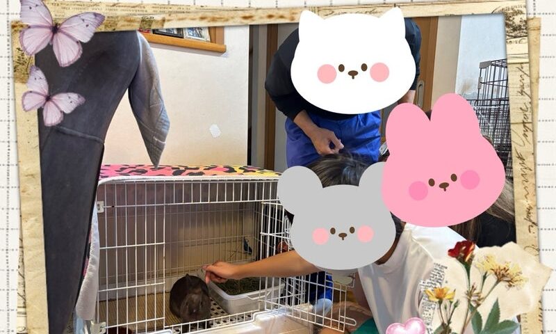 7月6日(月)ぴょん吉くん